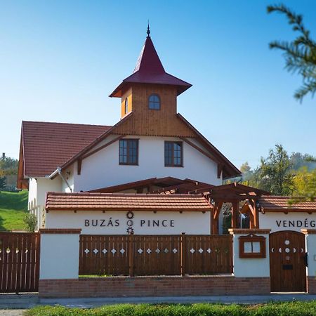 Buzas Pince Vendeghaz Hotel Ecséd Екстериор снимка