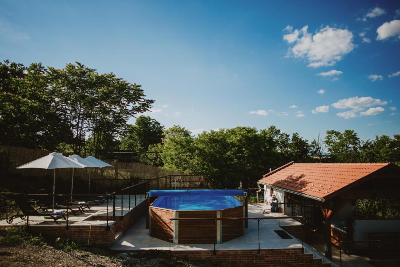 Buzas Pince Vendeghaz Hotel Ecséd Екстериор снимка